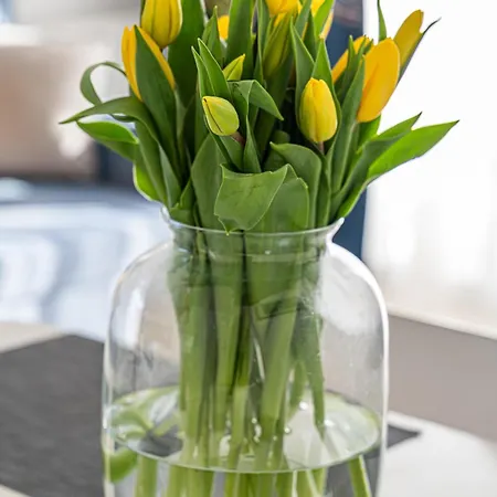 Krynicka Harmony - Billberry Apartment *